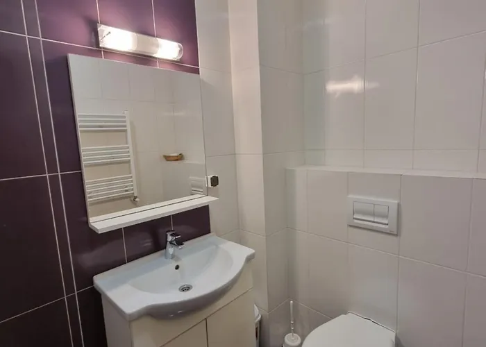 Apartament Deosebit *